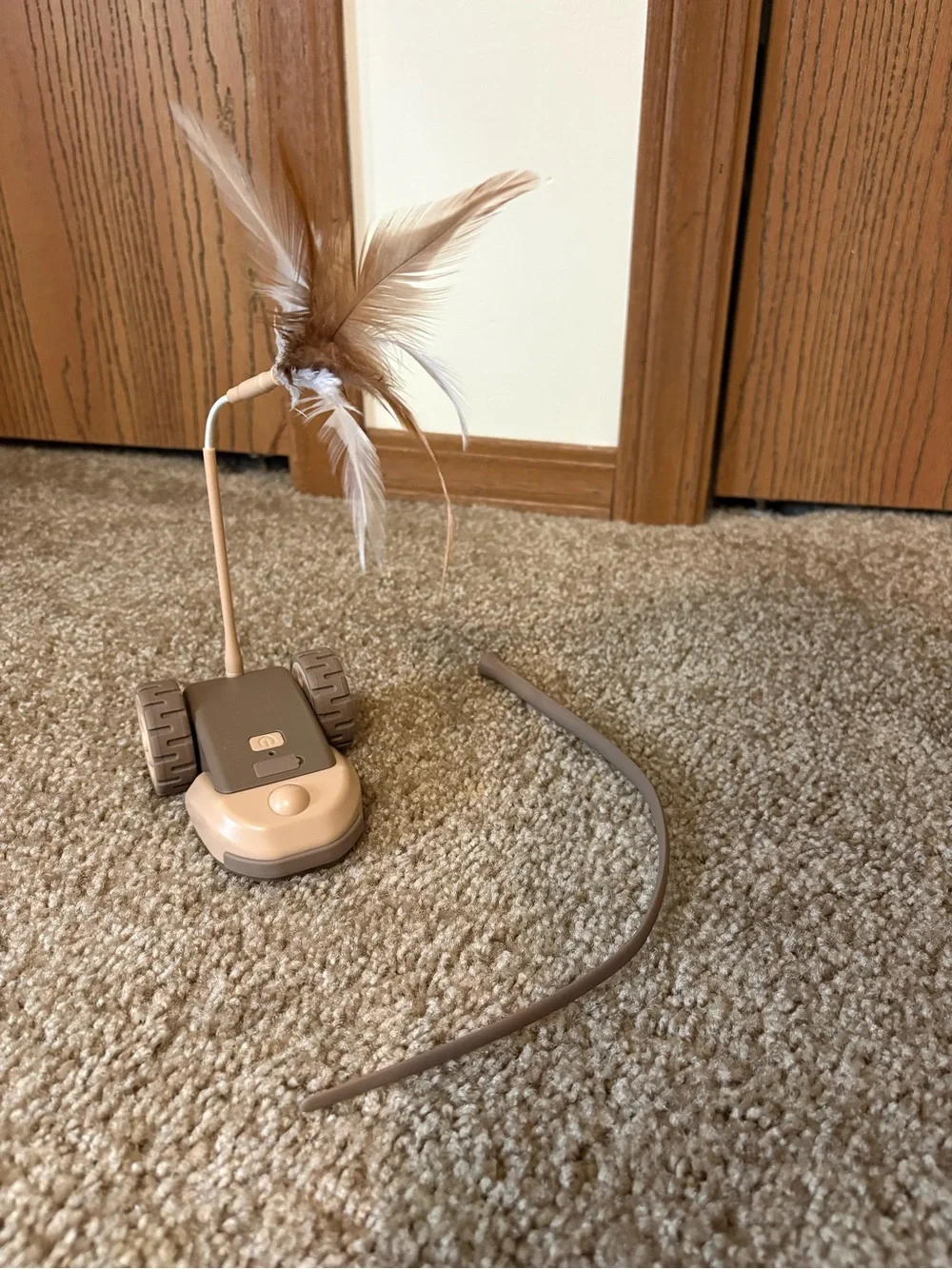 Rechargeable 3 in 1 Interactive Self- Play Cat Toy with Interchangeable Tails